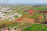 17040 SQM Land · Liopetri (Famagusta) for sale 
