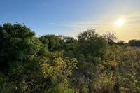 880 SQM Land · Mesogi (Paphos) for sale 
