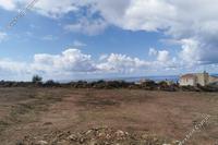 1000 SQM Plot in Tala (Paphos) for sale 
