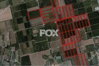 383933 SQM Land in Akrotiri (Limassol) for sale 