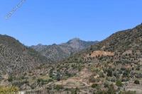 6021 SQM Land in Arakapas (Limassol) for sale 