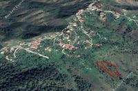 5468 SQM Land in Pigenia (Nicosia) for sale 
