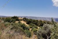 3345 SQM Land in Drimou (Paphos) for sale 