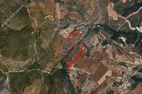 162562 SQM Land in Neo Chorio (Paphos) for sale 