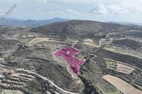 13974 SQM Land · Laneia (Limassol) for sale 