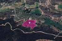 8362 SQM Land in Kofinou (Larnaca) for sale 