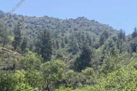 7405 SQM Land in Palaichori Oreinis (Nicosia) for sale 