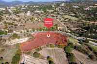 6700 SQM Land in Peristerona Pafou (Paphos) for sale 
