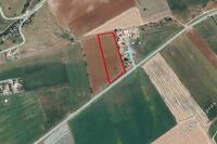 6857 SQM Land · Alaminos (Larnaca) for sale 
