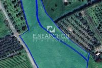 11178 SQM Land in Kolossi (Limassol) for sale 