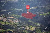 12041 SQM Land · Kathikas (Paphos) for sale 