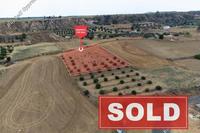 3129 SQM Land in Pera Orinis (Nicosia) for sale 