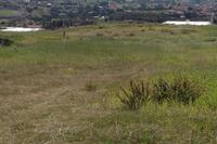 1691 SQM Land in Pyrgos Limassol (Limassol) for sale 