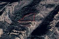 12660 SQM Land in Miliou (Paphos) for sale 