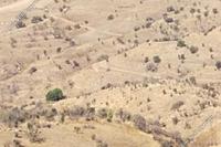11372 SQM Land · Statos Agios Fotios (Paphos) for sale 