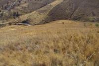12376 SQM Land · Galataria (Paphos) for sale 