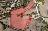 9313 SQM Land in Pano Akourdalia (Paphos) for sale 