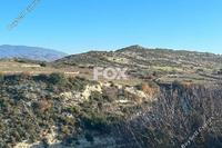 26916 SQM Land · Pachna (Limassol) for sale 