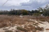 225 SQM Plot · Pyrgos Limassol (Limassol) for sale 