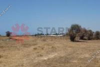 20236 SQM Land · Mazotos (Larnaca) for sale 
