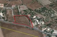 7024 SQM Land in Kolossi (Limassol) for sale 