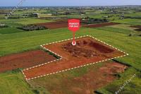 8370 SQM Land in Avgorou (Famagusta) for sale 