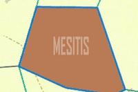 5017 SQM Land in Kalavasos (Larnaca) for sale 