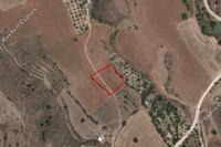 1487 SQM Land · Mitsero (Nicosia) for sale 