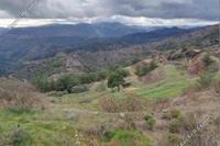3010 SQM Land in Sykopetra (Limassol) for sale 