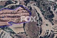 17726 SQM Land · Amargeti (Paphos) for sale 