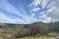 12375 SQM Land in Xyliatos (Nicosia) for sale 