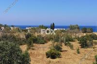 3 Bedroom Detached house · Latsi (Paphos) for sale 