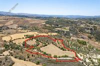 29098 SQM Land in Drynia (Paphos) for sale 