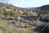 18785 SQM Land in Avdimou (Limassol) for sale 