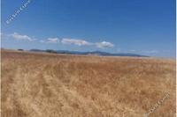 6614 SQM Land · Palaiometocho (Nicosia) for sale 
