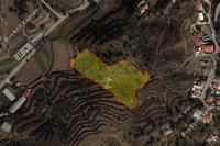 9700 SQM Land in Louvaras (Limassol) for sale 