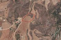 10034 SQM Land in Klirou (Nicosia) for sale 