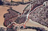 18540 SQM Land in Tremithousa (Paphos) for sale 