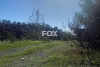 3848 SQM Land in Moniatis (Limassol) for sale 