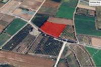 7913 SQM Land in Mandria Pafou (Paphos) for sale 