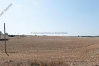 7265 SQM Land in Frenaros (Famagusta) for sale 