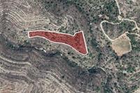 15218 SQM Land in Lofou (Limassol) for sale 