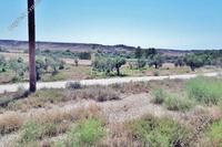 2304 SQM Land in Agioi Trimithias (Nicosia) for sale 