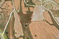 4014 SQM Land in Kathikas (Paphos) for sale 