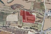 13379 SQM Plot in Deneia (Nicosia) for sale 