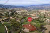 3266 SQM Land in Stroumbi (Paphos) for sale 