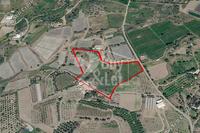14280 SQM Plot in Moni (Limassol) for sale 