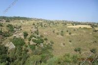 8696 SQM Land · Drousia (Paphos) for sale 