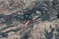 123747 SQM Land in Mousere (Paphos) for sale 