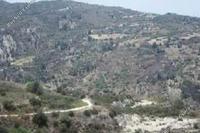 7693 SQM Land in Peyia (Paphos) for sale 